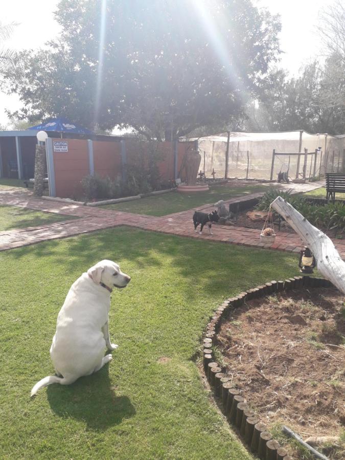 Culdesac Guesthouse אאודטסהורן מראה חיצוני תמונה